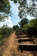 Fototapeta na wymiar schöner Treppensteig zu einem Aussichtspunkt - wandern in Südafrika bei St. Lucia