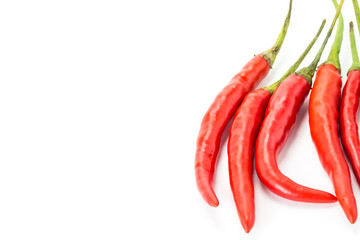 aromatic hot pepper red base design decoration invitation card on white background vertical pods