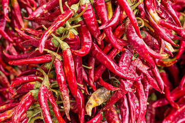 background a lot of colorful pod chili peppers long garland dried fruits close-up design base