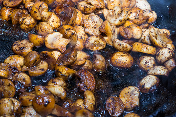 set chopped roasted champignon seasoned with lots of vegetables julienne mushroom sauce base design