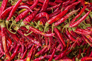 set of sharp dry pods of red chili peppers a lot of fruits horizontal pattern bases of sauces Asian Mexican dishes