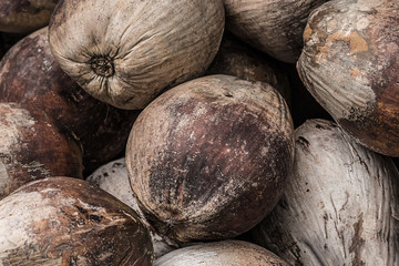 bunch of brown palm fruits a set of nuts a weather-beaten natural background a tropical base