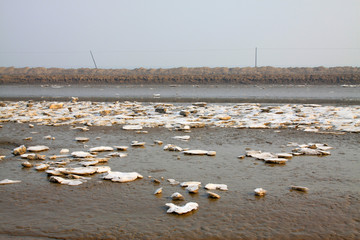 Tidal flats on the melting of snow
