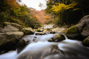 箱根　堂ヶ島渓谷遊歩道の紅葉	