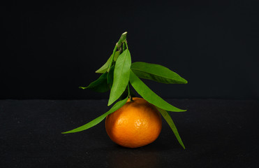 Mandarins with green leaves on black background