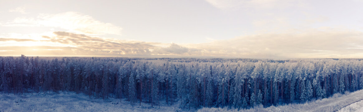 Drone Footage Of A Forest Covered In Snow. With A Bright Warm Sun