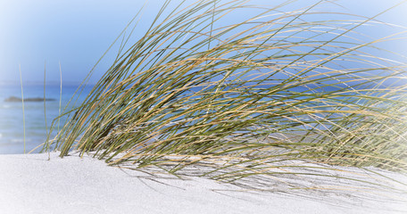 Close up of sand dunes with dune grass