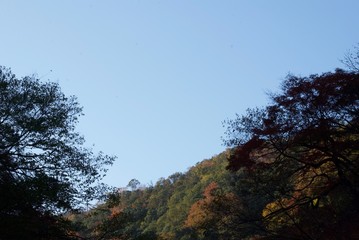 秋の山