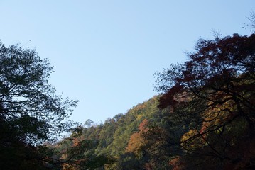 Fototapeta na wymiar 秋の山