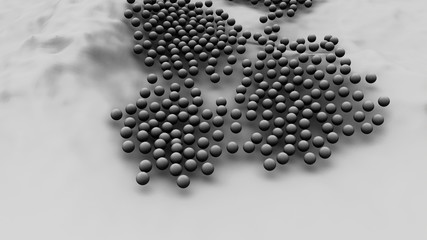 Cells Divide and Multiply