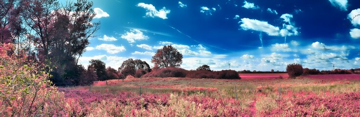 Fototapeta na wymiar Fantasy infrared landscape with trees and a deep blue sky