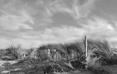 Close up of sand dunes with dune grass