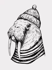 Fotobehang Sketch of a walrus in a cap and sailor shirt. Hand drawn illustration converted to vector © aksol