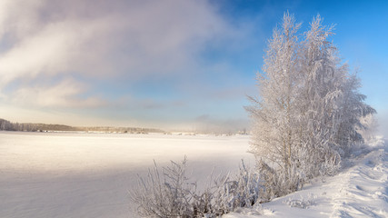 зимний пейзаж на Уральской реке с туманом и деревьями в снегу, Россия, январь