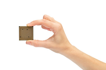 Woman's hand holding computer processor. Isolated on white.