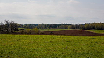 Obraz premium bushes and trees in autumn mist in green meadow