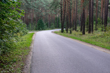 Obraz premium asphalt wavy road in forest in summer