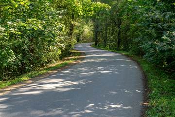 Fototapeta premium asphalt wavy road in forest in summer