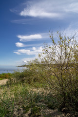 Obraz premium empty sea beach with sand dunes