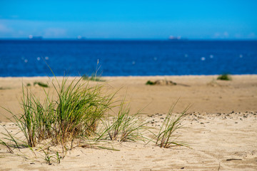 empty sea beach with sand dunes