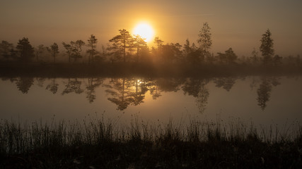 sunrise with mist in swamp bog area