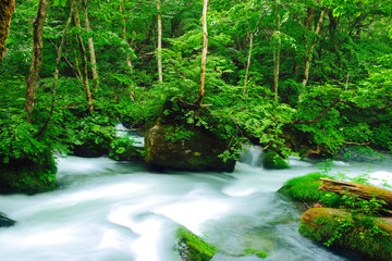 奥入瀬渓流（青森県・十和田市）