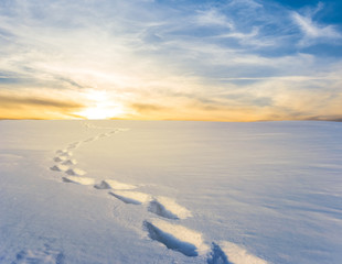Fototapeta na wymiar winter snowbound plain at the sunset