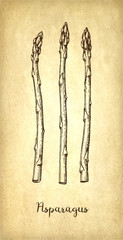 Ink sketch of asparagus.