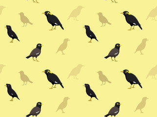 Obraz premium Bird Myna Wallpaper