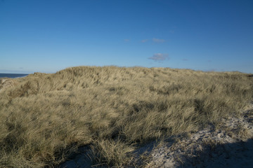 Dünenlandschaft an dänischer Küste vor blauem Himmel