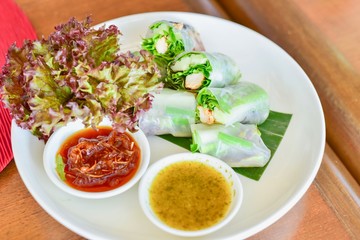 Healthy Salad Spring Rolls on White Plate