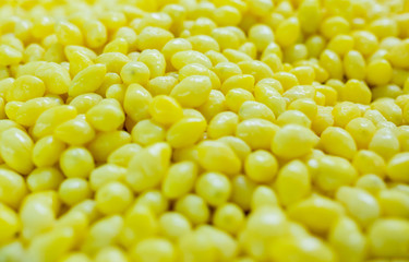 Ginkgo biloba seed in Thai food market