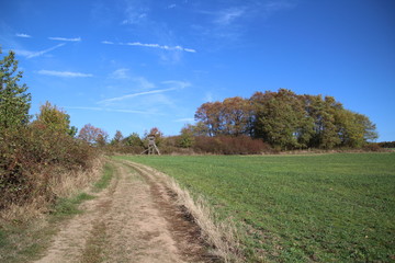 Weites Feld auf dem Weg zum Litermont Gipfel im Saarland