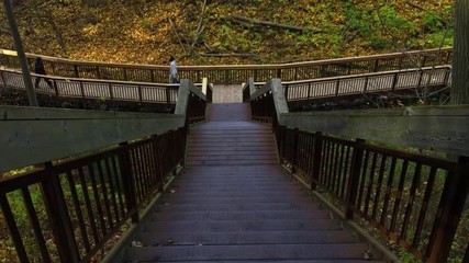 Looking down an outdoor stairwell at hikers walking on a forest boardwalk - Powered by Adobe