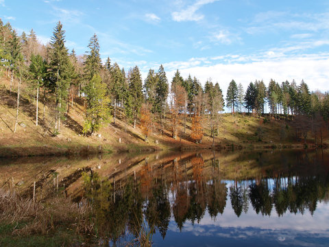 Blick auf den Nonnenmattweiher See im Herbst Südschwarzwald in Baden-Württemberg. © Marc