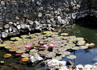 Indonesia, Sumatra island, lake Toba, Samosir island, Tuk-Tuk Peninsula