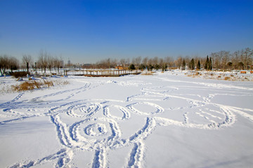 Patterns in the snow