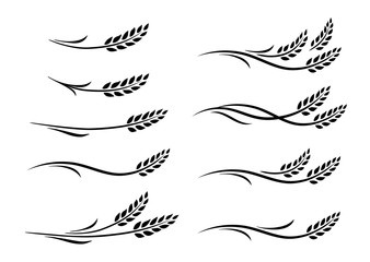 hand drawn doodle black wheat ears set