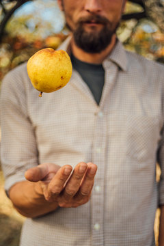 Man in a plaid shirt throws yellow pear