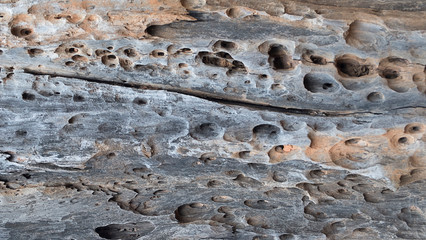 close up old wood background