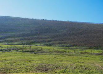 Roero hills in Piedmont