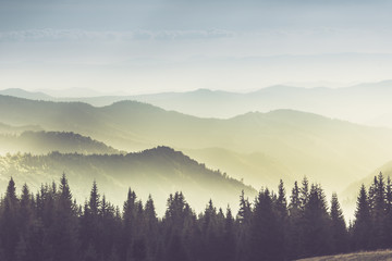 Naklejka na ściany i meble Majestic landscape of summer mountains. A view of the misty slopes of the mountains in the distance. Morning misty coniferous forest hills in fog and rays of sunlight.Travel background. 