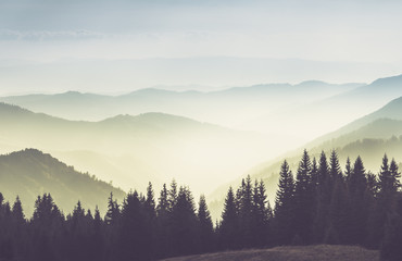 Majestic landscape of summer mountains. A view of the misty slopes of the mountains in the...