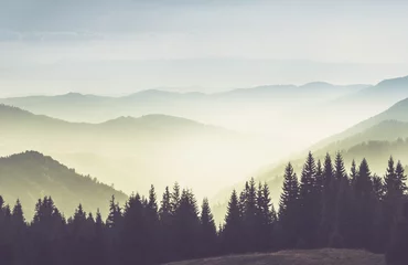 Poster Majestueus landschap van zomerbergen. Uitzicht op de mistige hellingen van de bergen in de verte. Ochtend mistige naaldbos heuvels in mist en stralen van zonlicht. Reizen achtergrond. © vovik_mar