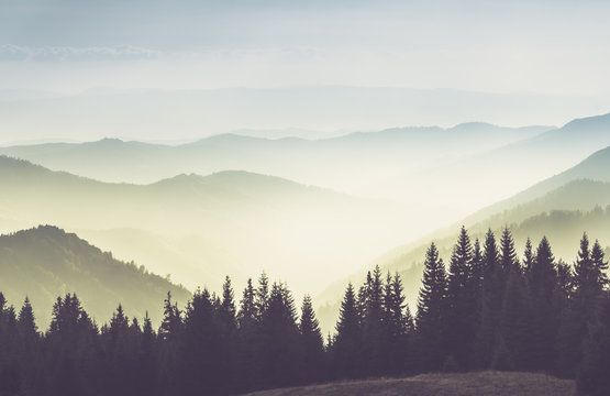 Majestic landscape of summer mountains. A view of the misty slopes of the mountains in the distance. Morning misty coniferous forest hills in fog and rays of sunlight.Travel background. 