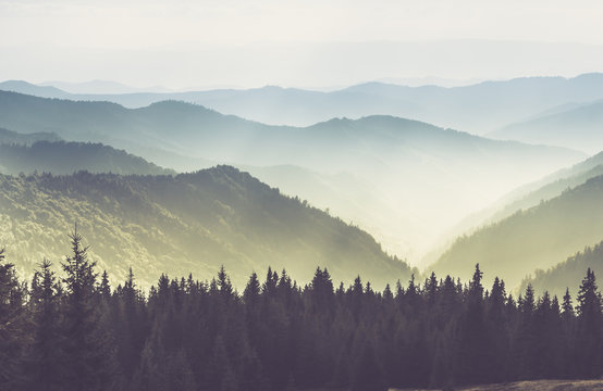 Fototapeta Majestic landscape of summer mountains. A view of the misty slopes of the mountains in the distance. Morning misty coniferous forest hills in fog and rays of sunlight.Travel background. 