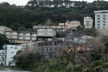 Fototapeta premium 熱川温泉街