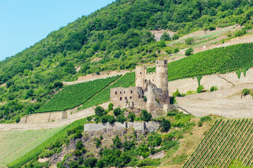 Burg Ehrenfels