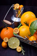 Kumquats, mandarins, lemons and limes against dark background. Citrus fruits assortment