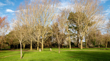 Obraz premium Hiking